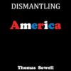 Dismantling America: and other controversial essays