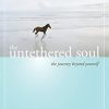 Untethered Soul: Journey Beyond Yourself: The Journey Beyond Yourself