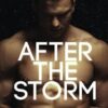 After the Storm: A MM Romance