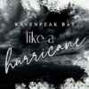 Like a Hurricane - A dark smalltown romance: Special Edition