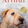 Arthur the King: The dog who crossed the jungle to find a home *Now a major movie staring Mark Wahlberg and Simu Liu*