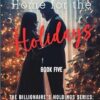 The Billionaire's Holdings: Home for the Holidays: 5
