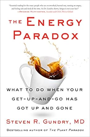 The Energy Paradox: What to Do When Your Get-Up-and-Go Has Got Up and Gone: 6