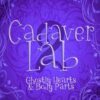 Cadaver Lab 2: Ghostly Hearts & Body Parts