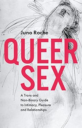 Queer Sex: A Trans and Non-Binary Guide to Intimacy, Pleasure and Relati: onships