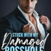 Stuck With My Damaged Bosshole: An Enemies to Lovers Single Dad Romance