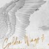 Golden Wings & Pretty Things: A Forbidden Age Gap Romance