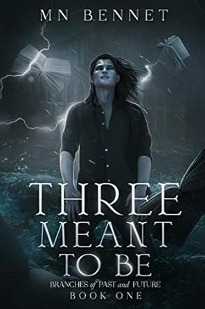 Three Meant To Be: Branches of Past and Future Book One