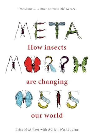 Metamorphosis: How insects are changing our world
