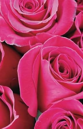 Floral Lined Composition Journal Notebook: Perfect for Capturing Your Thoughts and Ideas - A Lovely Gift