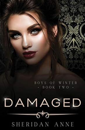 Damaged: A Dark Enemies to Lovers Reverse Harem Romance