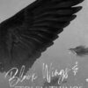 Black Wings & Stolen Things: A Dark Forced Marriage Romance