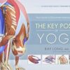 Key Poses of Yoga: the Scientific Keys Vol 2