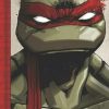 Teenage Mutant Ninja Turtles: The IDW Collection Volume 1