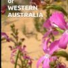 TRIGGERPLANTS of WESTERN AUSTRALIA