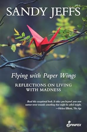 Flying with Paper Wings : Reflections on Living with Madness