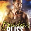 Brandon's Bliss: A SEALs of Honor World Novel: 14
