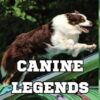 Canine Legends Volume III: (Deluxe Edition) (3)