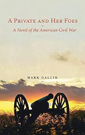 A Private and Her Foes: A Novel of the American Civil War