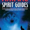 Animal Spirit Guides: An Easy-To-Use Handbook for Identifying and: An Easy-To-Use Handbook for Identifying and Understanding Your Power Animals and Animal Spirit Helpers