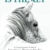 Understanding is the Key: A Comprehensive Guide to Creating a Partnership for Life with Your Young Horse
