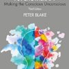 Child and Adolescent Psychotherapy: Making the Conscious Unconscious