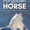 The Forgotten Horse - Book 1 in the Connemara Horse Adventure Series for Kids. The perfect gift for children age 8-12.