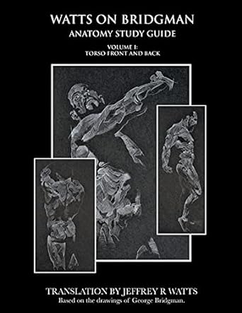 Watts On Bridgman: Torso Front and Back