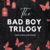 The Bad Boy Trilogy: Books 7 to 9 in the Enigma Series: 3
