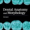 Dental Anatomy and Morphology