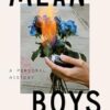 Mean Boys: A Personal History