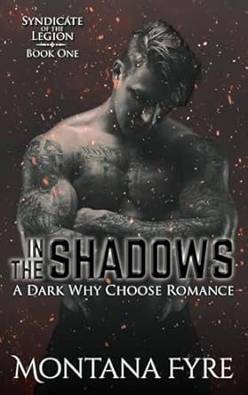 In the Shadows: A Dark Why Choose Romance