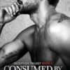 Consumed by Deception: A Dark Marriage Mafia Romance (3)
