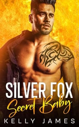 Silver Fox Secret Baby: A Brother's Best Friend Age Gap Romance