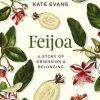 Feijoa: A story of obsession and belonging