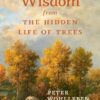 Wisdom from the Hidden Life of Trees