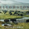 Yellowstone: A Journey Through America's Wild Heart