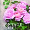 Vintage Roses: Beautiful Varieties for Home and Garden