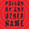 Prison by Any Other Name: The Harmful Consequences of Popular Reforms
