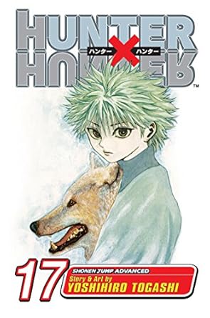 Hunter x Hunter, Vol. 17 (Volume 17): A Fierce Three-Way Struggle