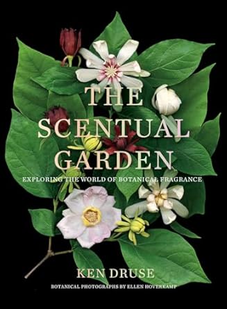 The Scentual Garden:Exploring the World of Botanical Fragrance