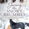 Saving the Snowy Brumbies