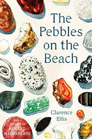 Pebbles on the Beach: A Spotter's Guide