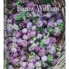 Bunny Williams: Life in the Garden