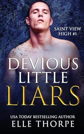 Devious Little Liars: A High School Bully Romance: 1