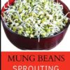 The Mung Beans Sprouting Recipe Book