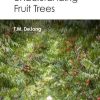 Concepts for Understanding Fruit Trees