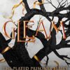 Gleam: The Plated Prisoner Series Vol 3: The TikTok fantasy sensation that's sold over half a million copies