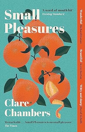 Small Pleasures: Longlisted for the Women's Prize for Fiction
