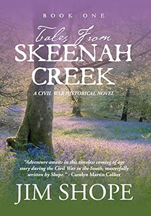 Tales From Skeenah Creek: A Civil War Historical Fiction...